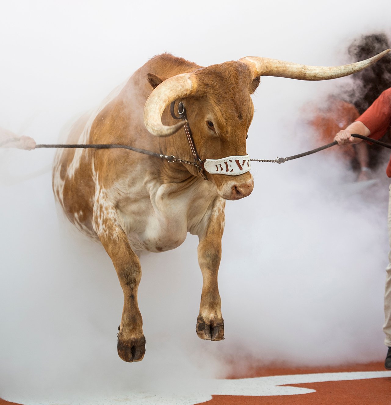 bevo_entrance_smoke_tulsa.jpg.849fbc4ac2