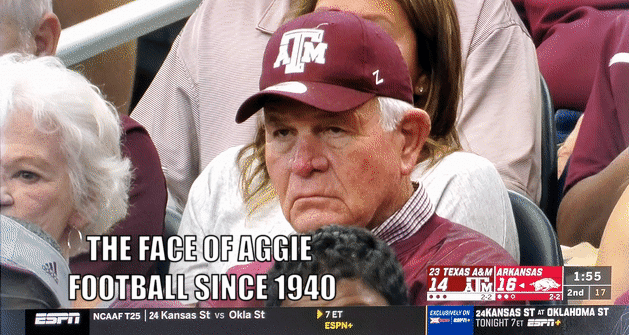 aggy-sad-fan-gif.gif.60da9e321829e669e08