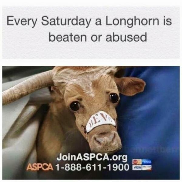 large.676768486_beatenlonghorn.jpg.9b068a3a7f92431fffd7cb6dc947a16b.jpg