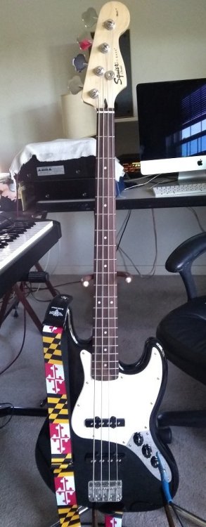 SquierBass.thumb.jpg.7a59839a480e9d4382903801f0dd68d9.jpg