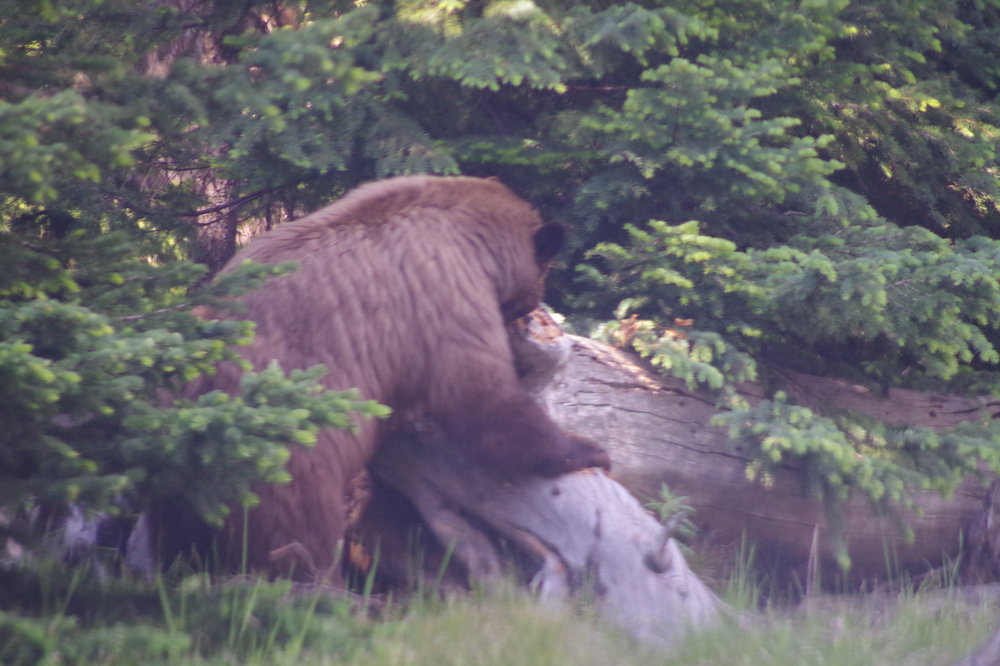 2012-01-01 00.02.07.jpg