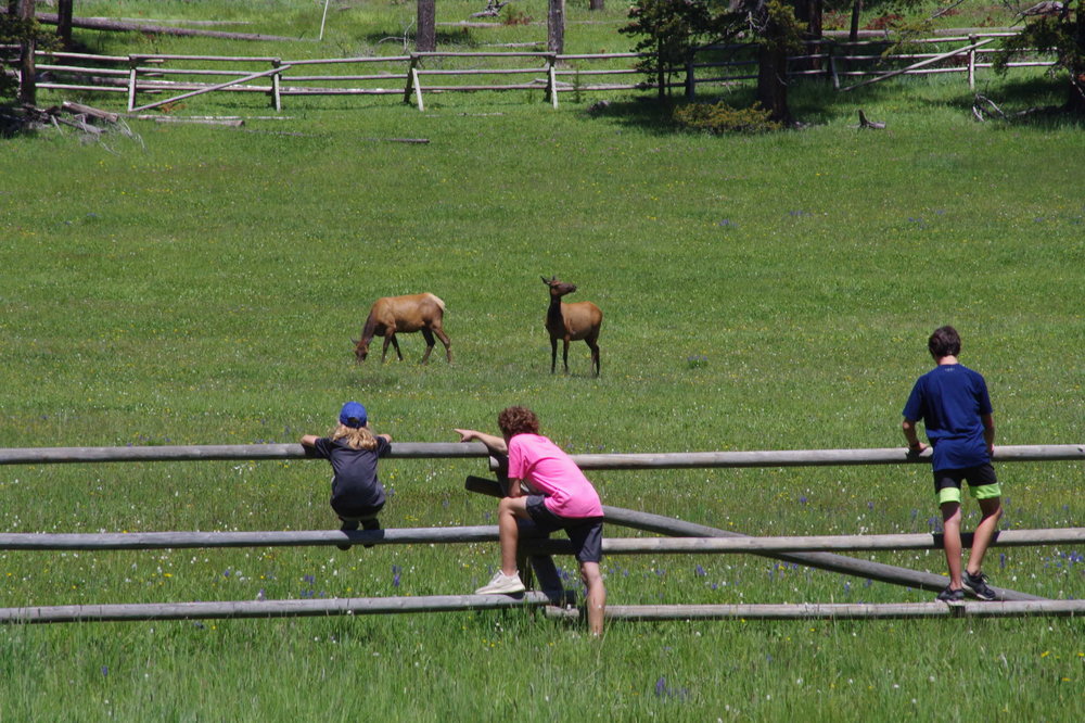 2012-01-01 00.00.22-6.jpg