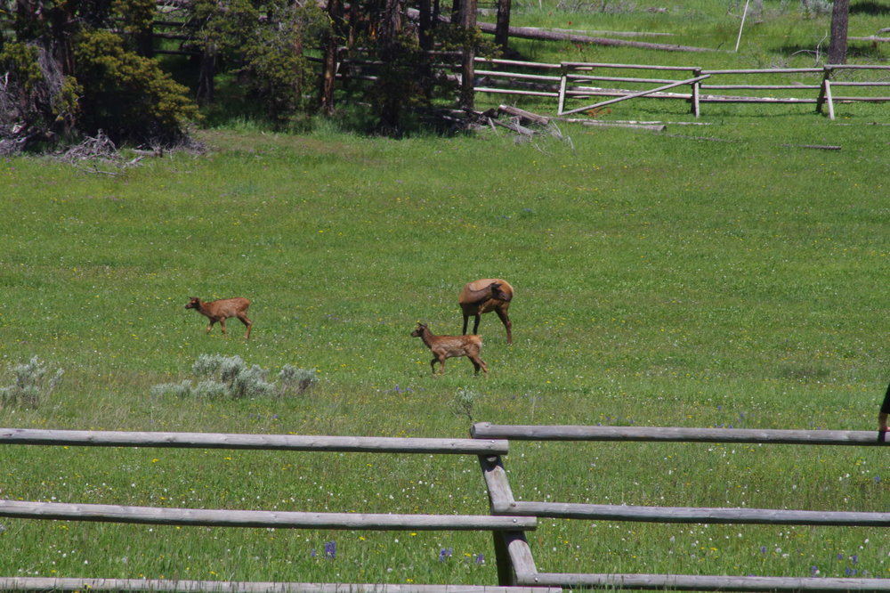 2012-01-01 00.00.13-2.jpg