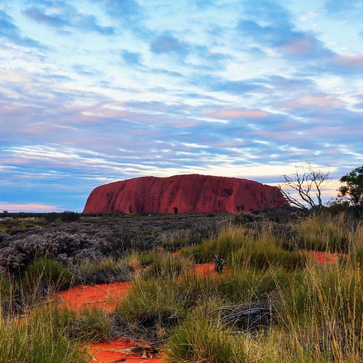 uluru-bus-sunset-area-credit-maree-clout-t.jpg