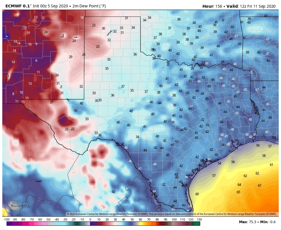 ecmwf-deterministic-tx-dew2m_f-9825600.thumb.png.db397501de707a5ed2528f5dd053f2f5.png