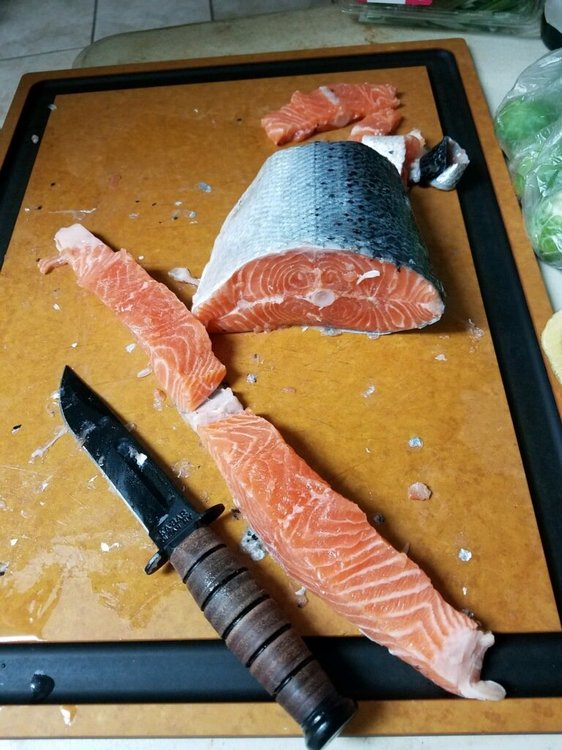 imagejpeg_0 (12).jpg