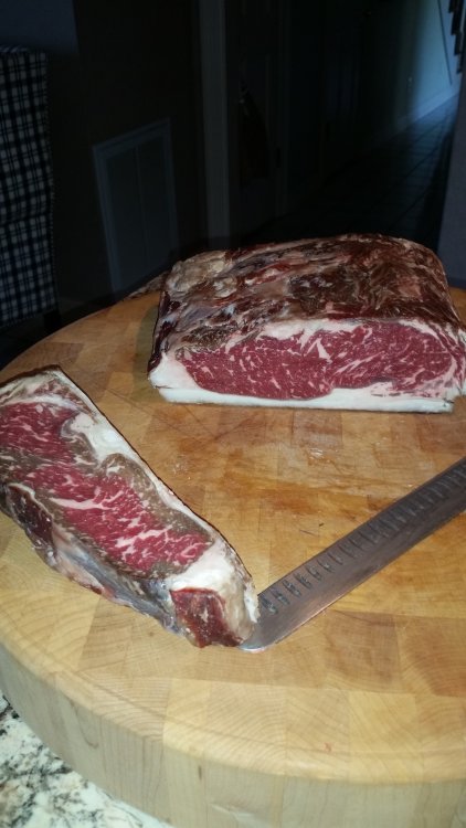 14-Day Strip - 2016 - Sliced.jpg