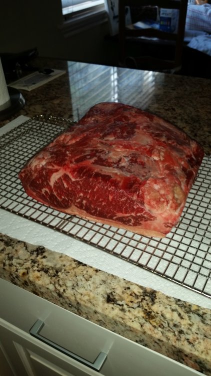 14-Day Strip - 2016 - Precut.jpg