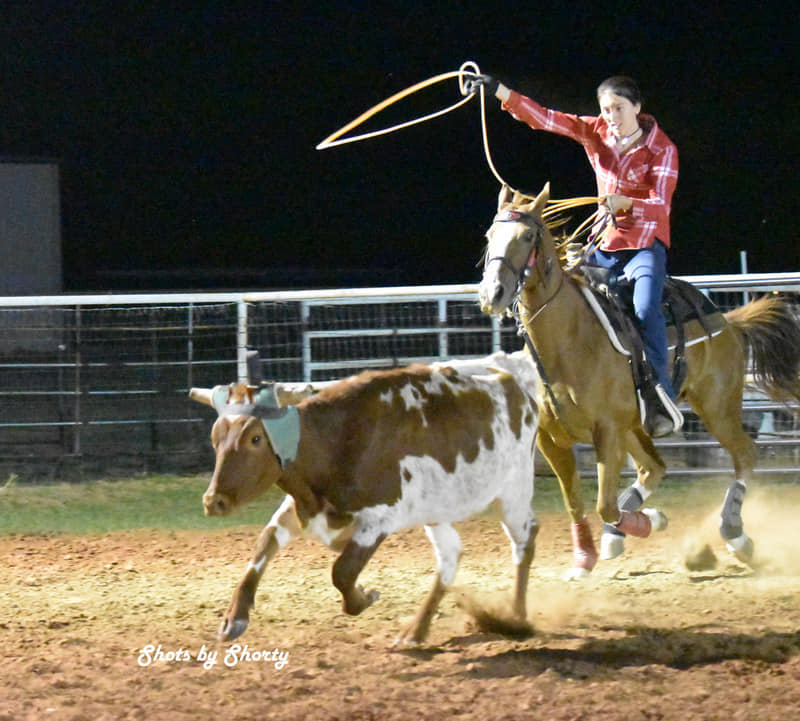 Fawkes breakaway.jpg