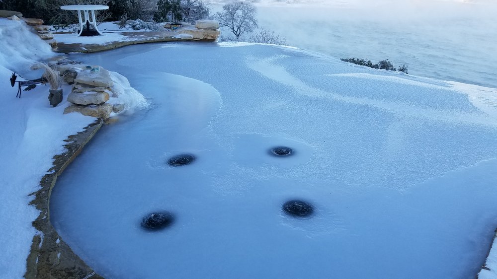 2021-02-15 07.57.48.jpg