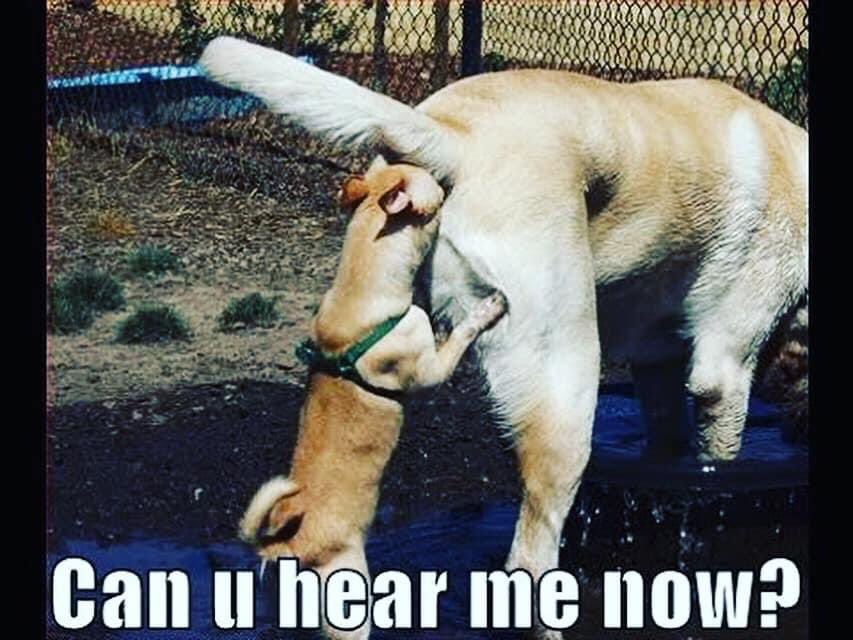 can you hear me now.jpg