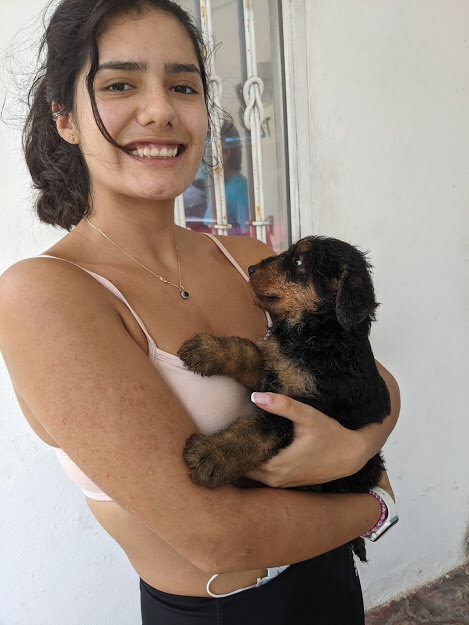 new airedale puppy.jpg