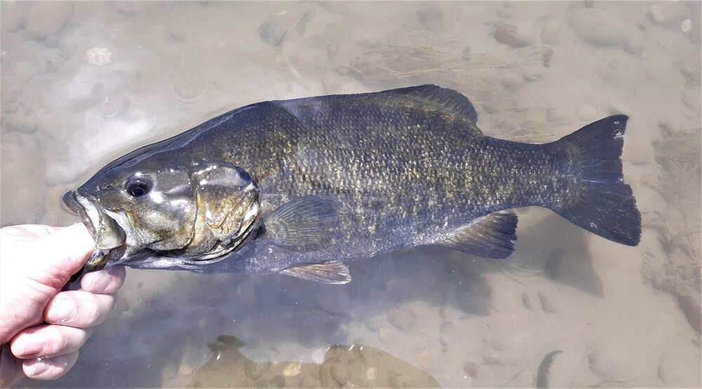 20210701_123726_ Sharped.jpg