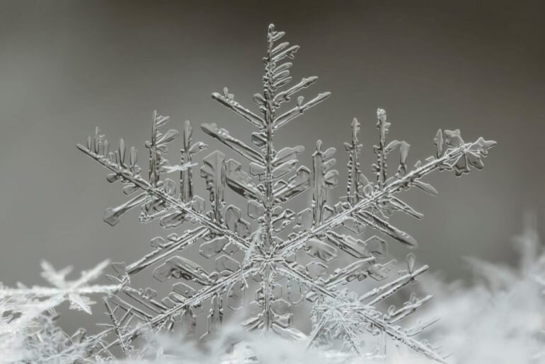 snowflake-770x515.jpg