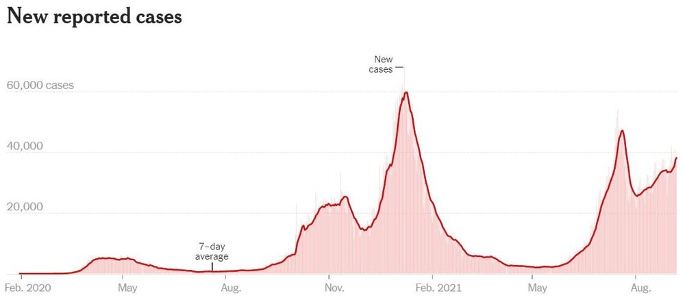 Capture - Copy (5).JPG