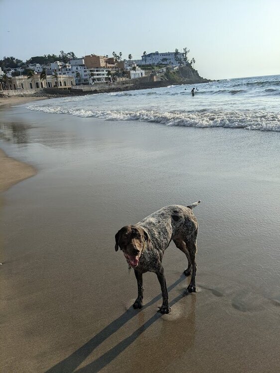 sprinkles mazatlan.jpg