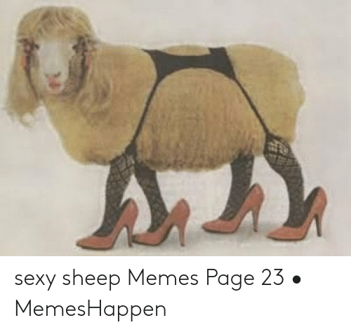 sexy-sheep-memes-page-23-•-memeshappen-50282668.png