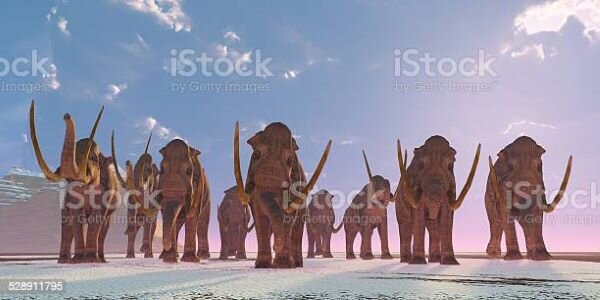 MAMMOTH.jpg