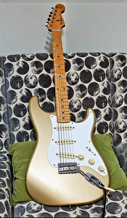 Screenshot_20211126-173942_Amazon Photos.jpg